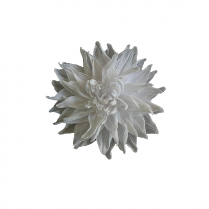 Brooch Collar Astra