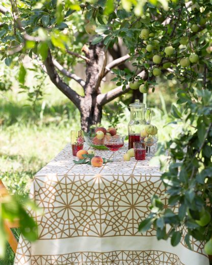 The table clothes