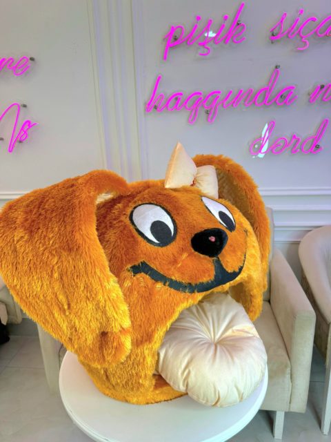 House for dogs