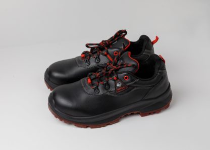 BAFCO Guardian  S2 - Image 2