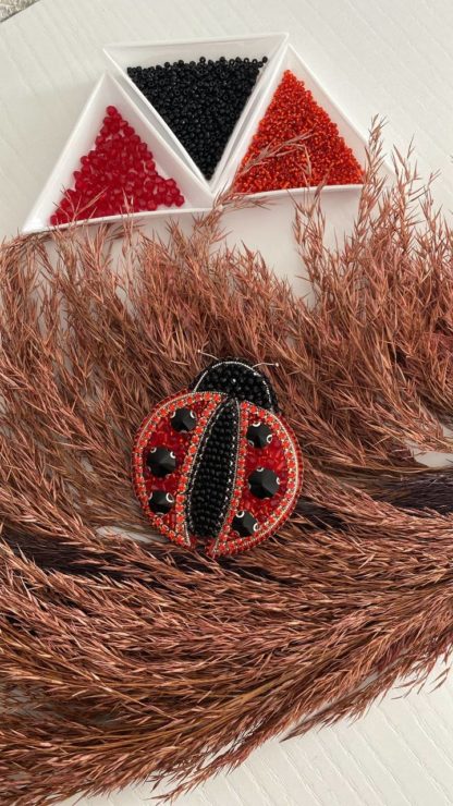 Broş ''LADYBUGS''
