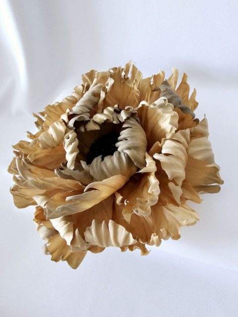 "Pion" broşu