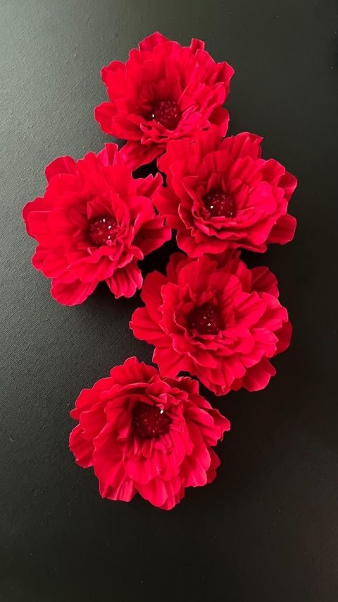Test broşlar
